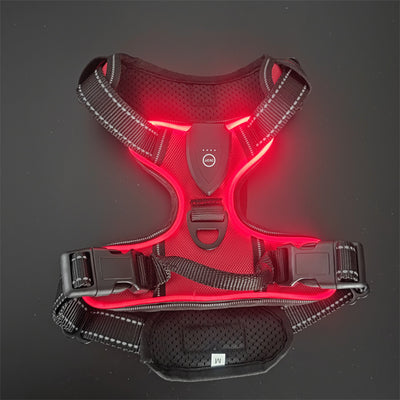 LED Night Walking Dog