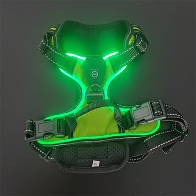 LED Night Walking Dog