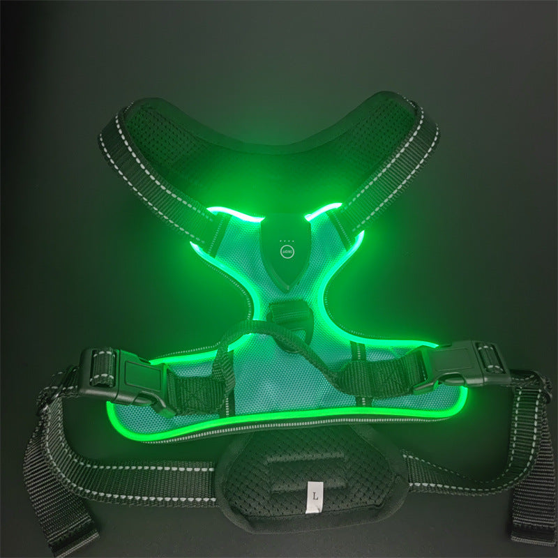 LED Night Walking Dog