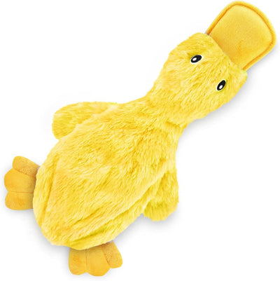 Duck crinkle Dog Toy