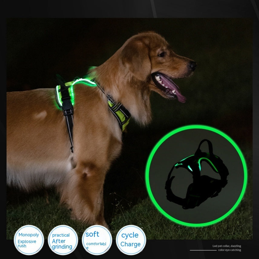 LED Night Walking Dog