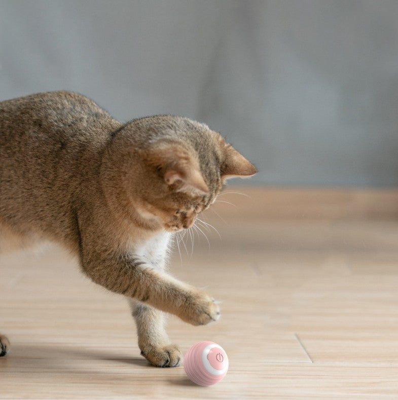 Automatic Moving Ball Cat Toy