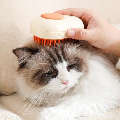 Cat Grooming Comb with Steam