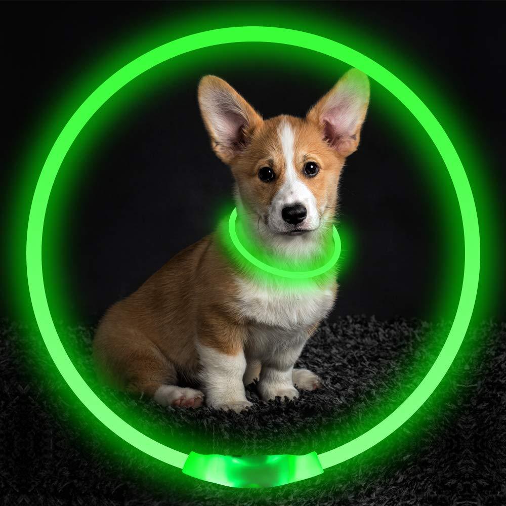 Dog Flashing Collar USB