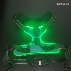 LED Night Walking Dog