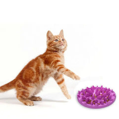 Feeder Bowls Catch Interactive Hard Silicone Cat