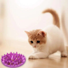 Feeder Bowls Catch Interactive Hard Silicone Cat