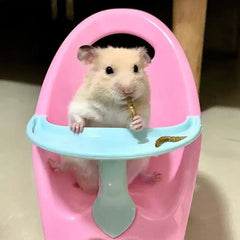 Hamsters Chair Guinea Pig Mini Feeding Chair