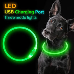 Dog Flashing Collar USB