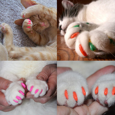 Anti-scratch Cat Nail Caps