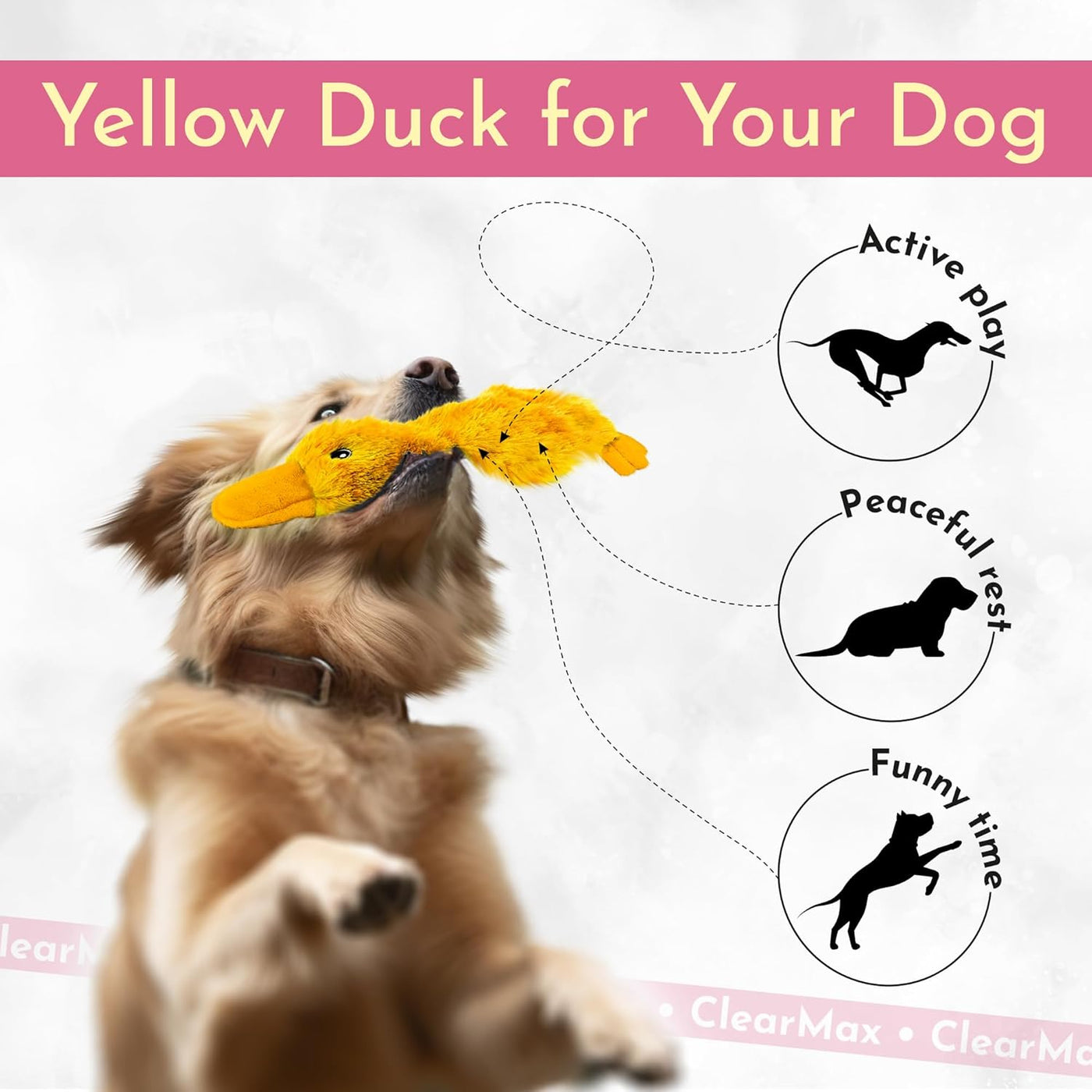 Duck crinkle Dog Toy