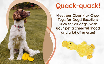 Duck crinkle Dog Toy